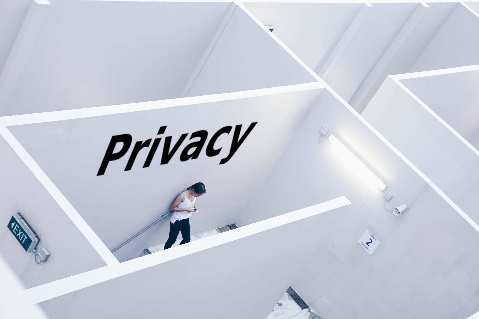 Privacy From Corporate Data Gathering